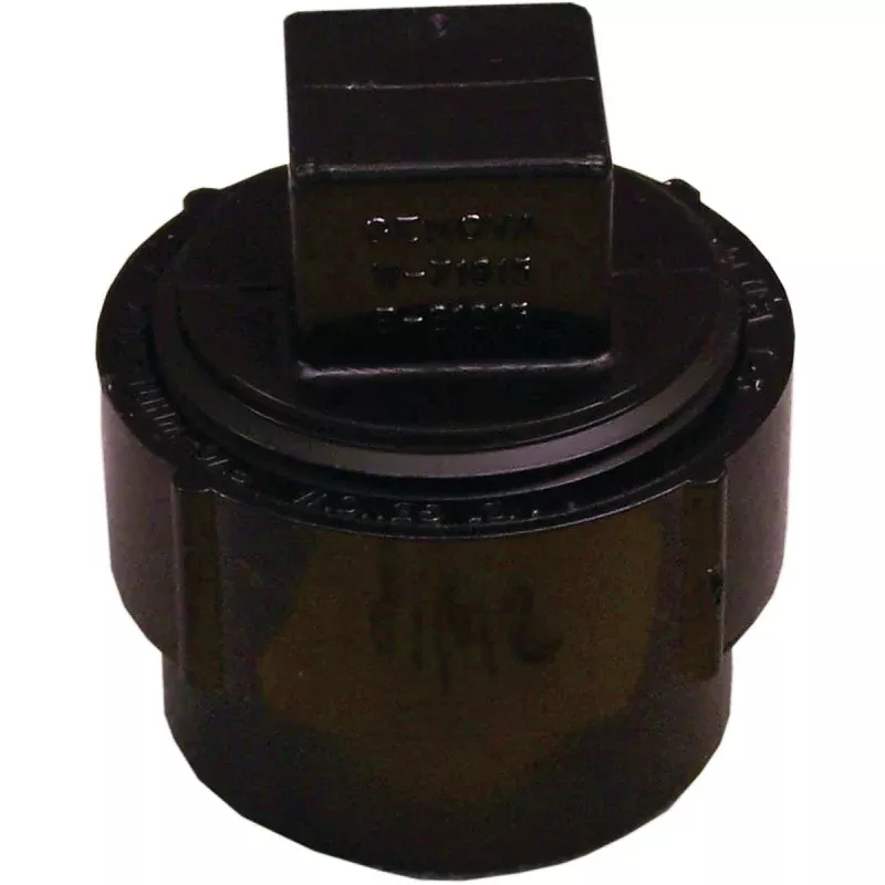 Canplas 103702ASBC Cleanout Body with Plug, 2 in, FNPT x Spigot, ABS, Black, SCH 40 Schedule