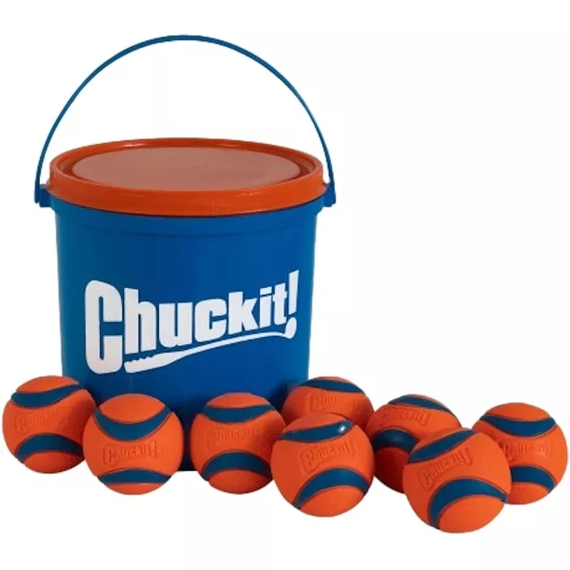 Chuckit! 50933 Dog Toy, Fetch Toy, Bucket
