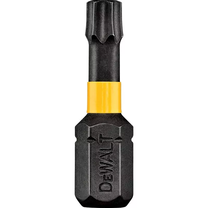 DEWALT DWA1TS20IR2 Screwdriver Bit, T20 Drive, Torx Drive, 1 in L