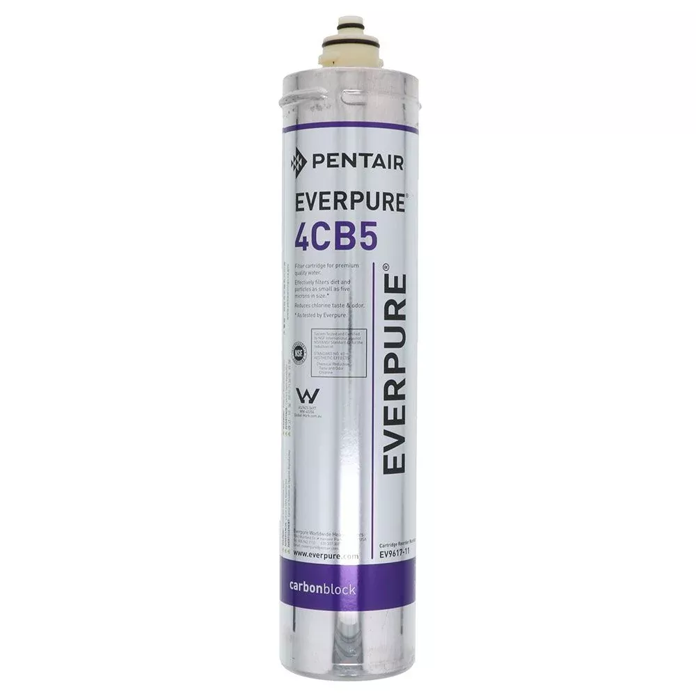 Everpure 4CB5 EV9617-11 Filter Cartridge