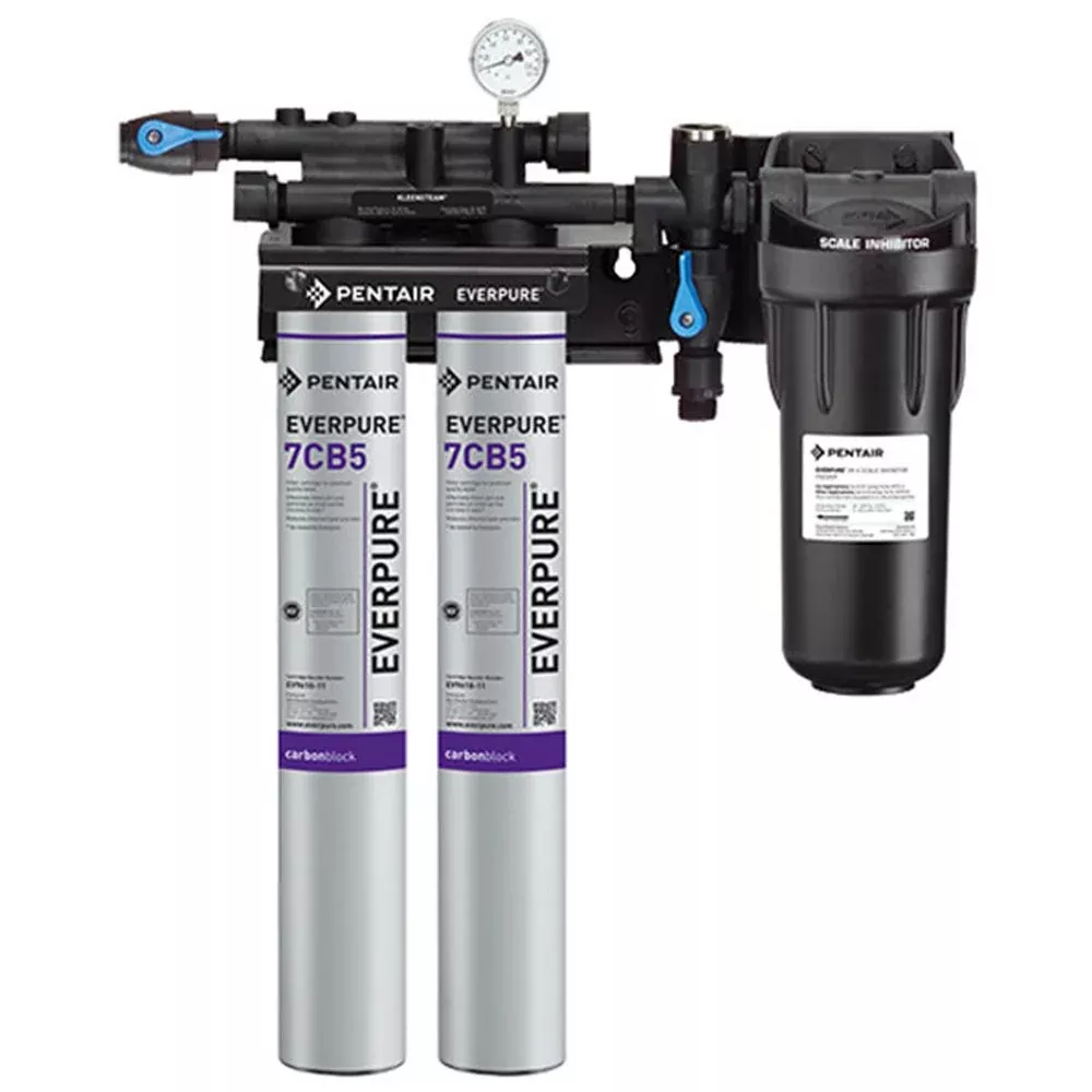 Everpure EV9797-22 Kleensteam II Twin System for Steam Applications