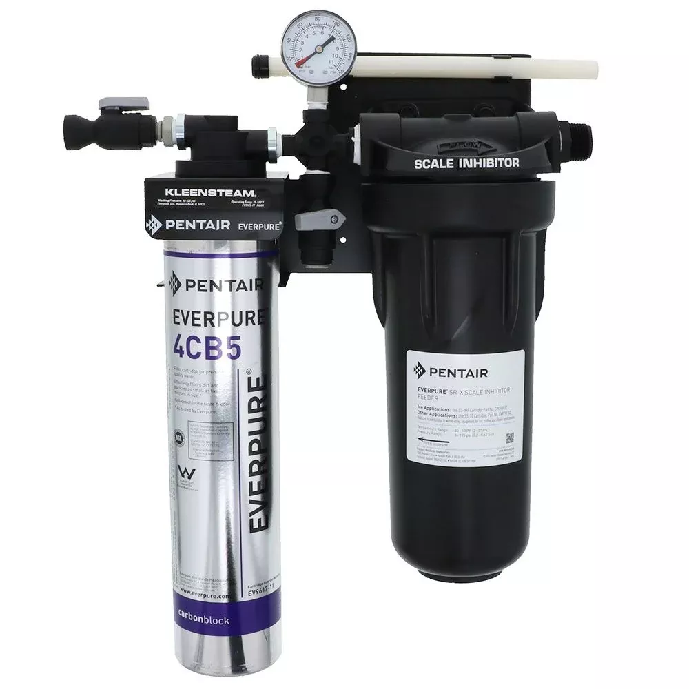 Everpure EV9797-50 Kleensteam CT System for Steam Applications