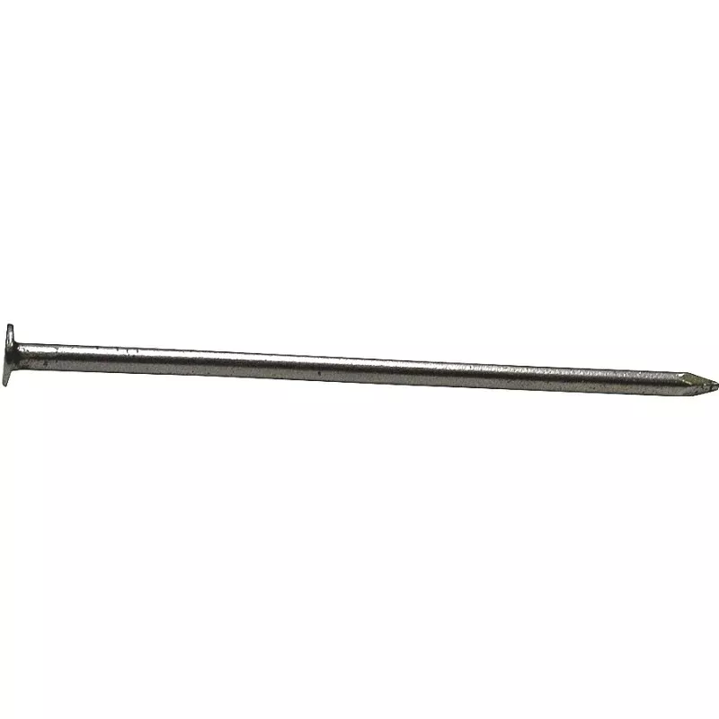 NAIL CMMN BRT 60D 6IN 50LB