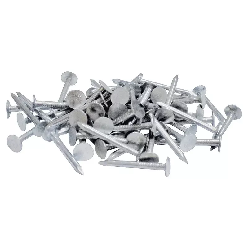 Orgill Bulk Nails 50111680 Roofing Nail, 2 in L