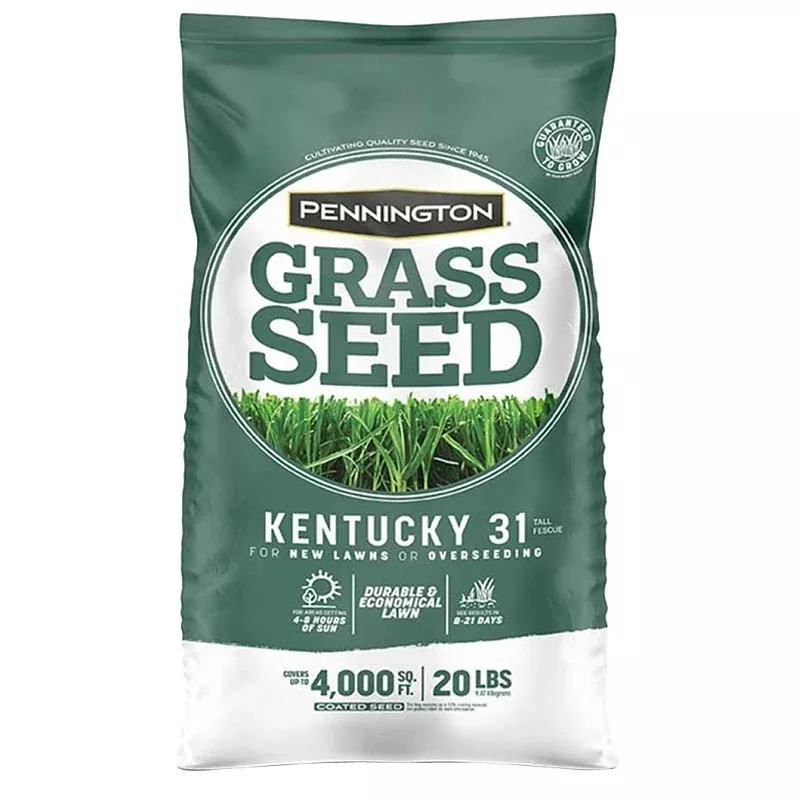 Pennington 100543701 Kentucky Fescue Grass Seed, 20 lb Bag