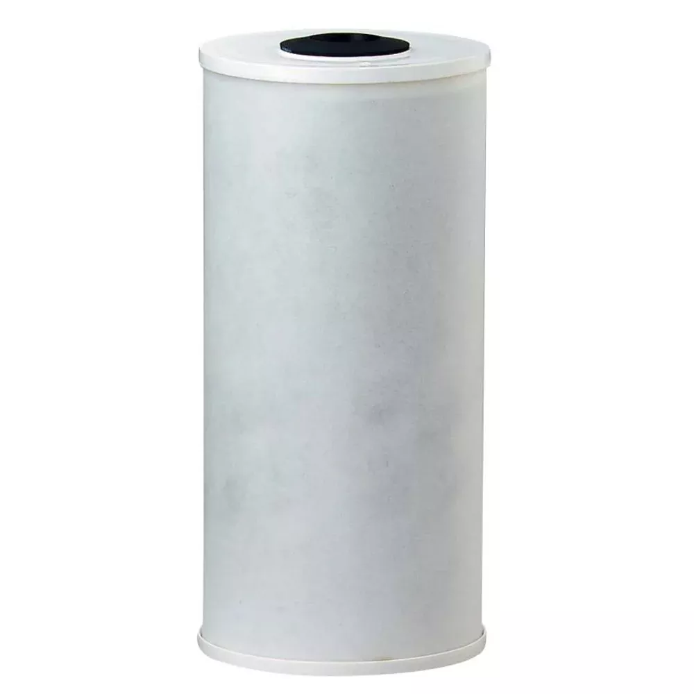 Pentek 155141-43 RFC-BB Radial Flow Carbon Filter 25 mic
