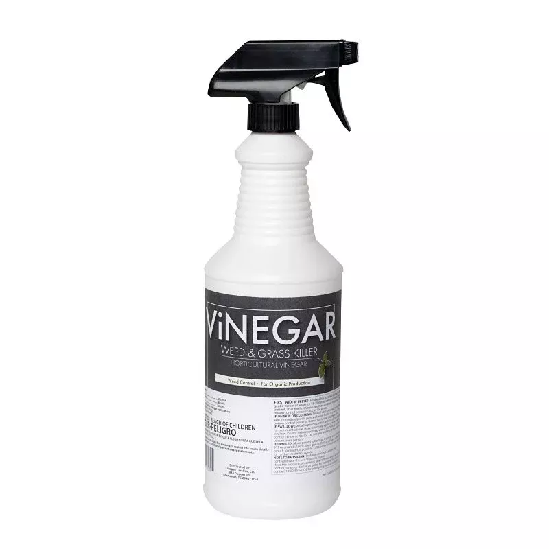 Sanco 579 Vinegar Weed Killer, 1 qt