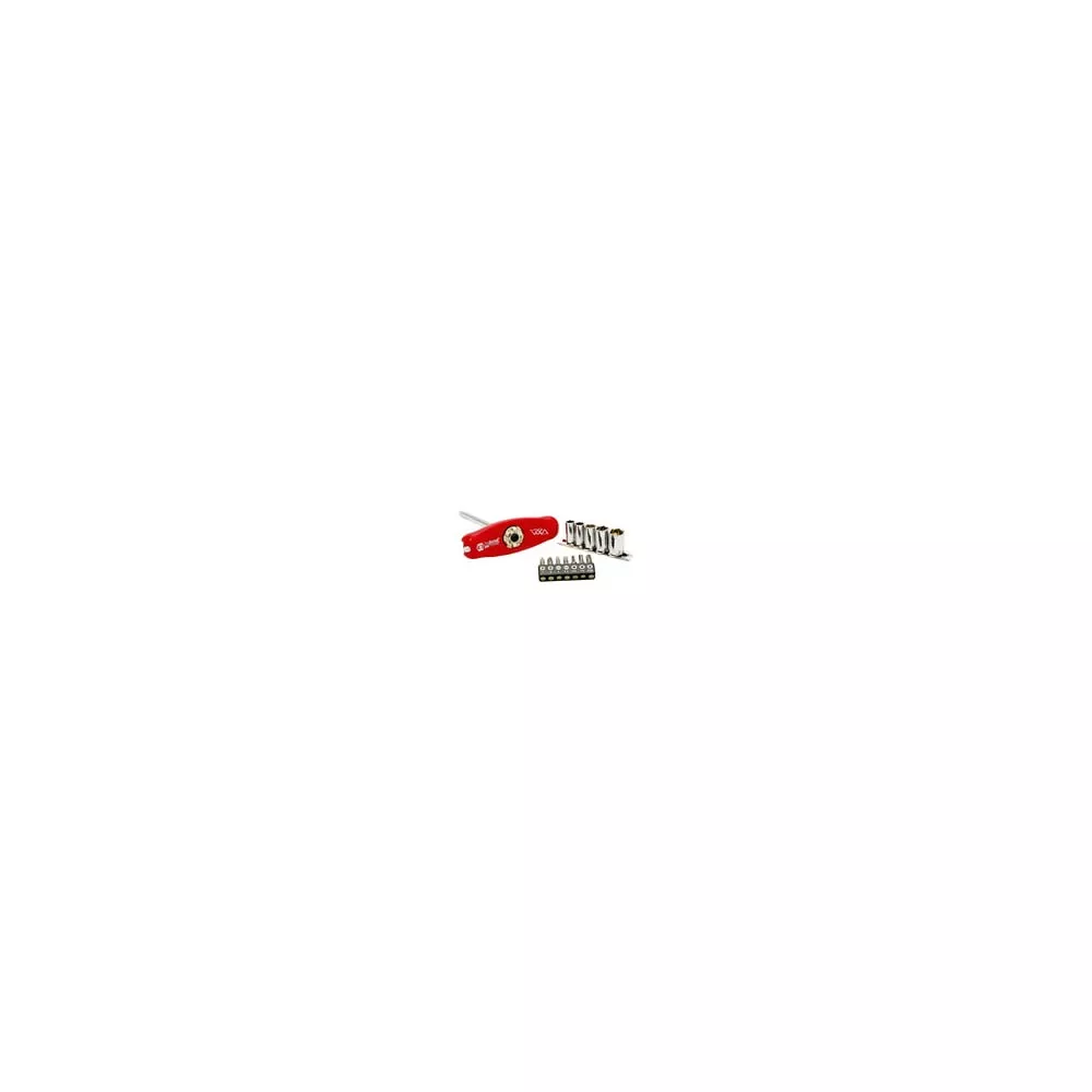 TINY BONE RATCHET, 1/4 DR" 5 IN 1